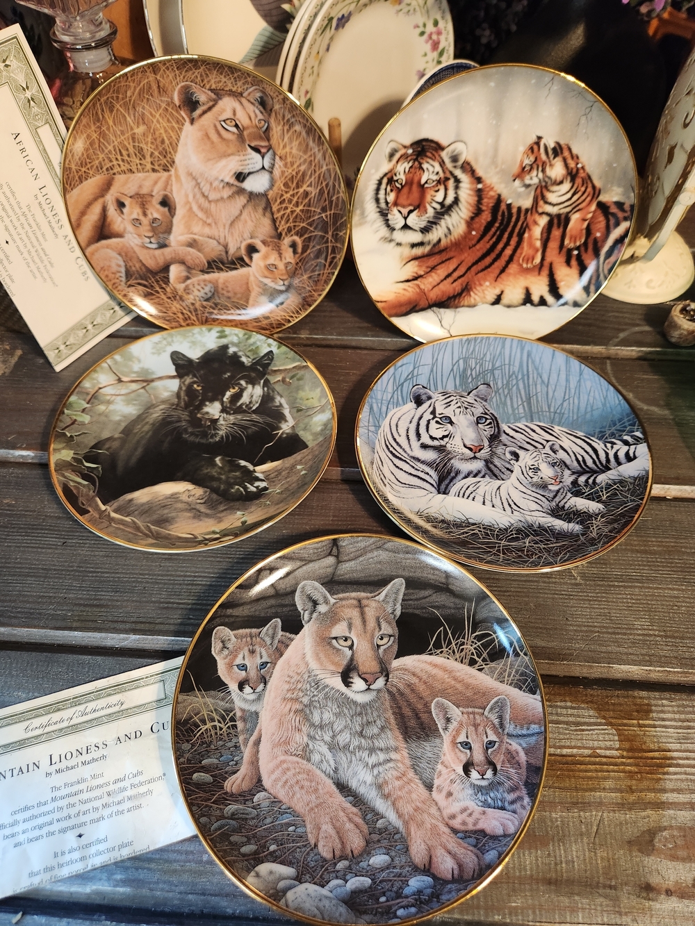 1999s Collectible Big Cat Decorative Plate Set - Micheal Matherly